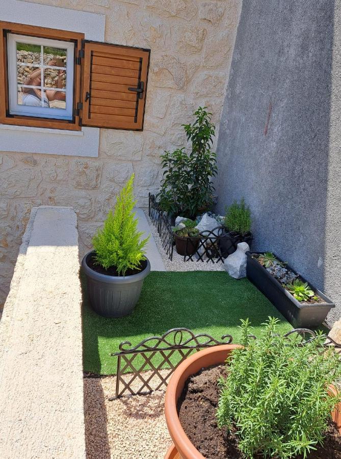 Villa Venkin Dvor Novaglia Esterno foto